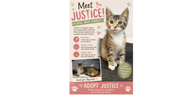 Justice