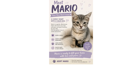 Mario