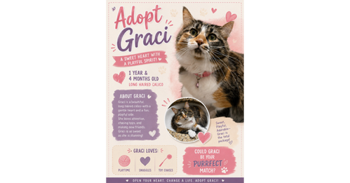 Graci