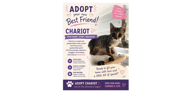 Chariot