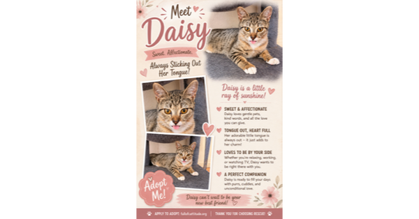 Daisy