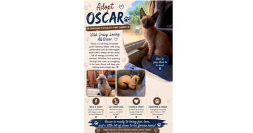 Oscar
