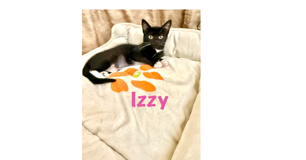 Izzy