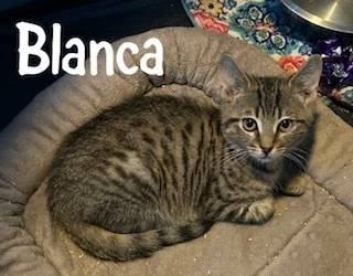 Blanca