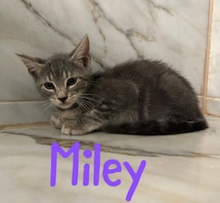 Miley