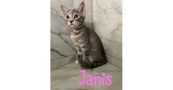 Janis