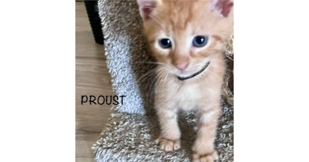 Proust