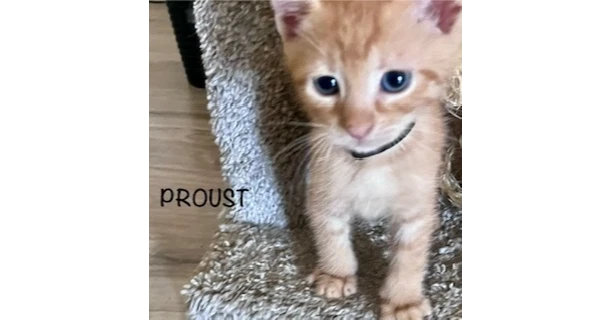 Proust