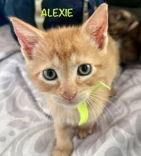 Alexie