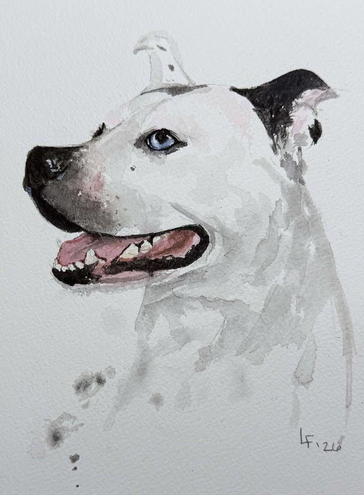 Nyla