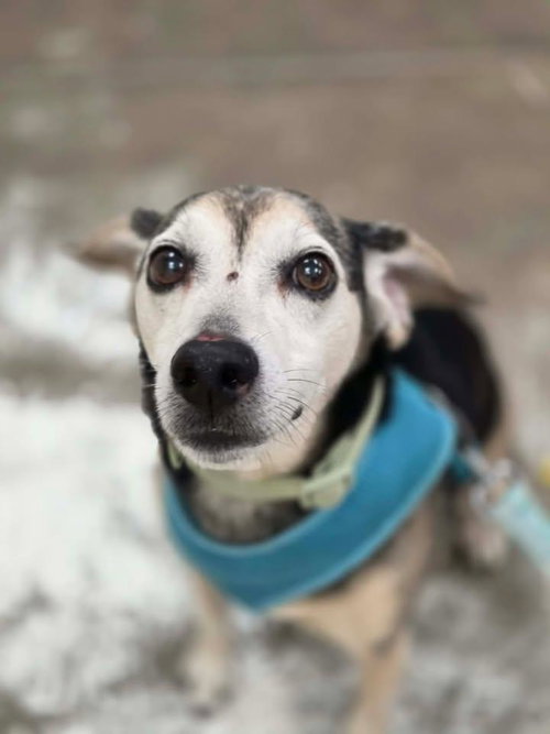 Finley photo 2