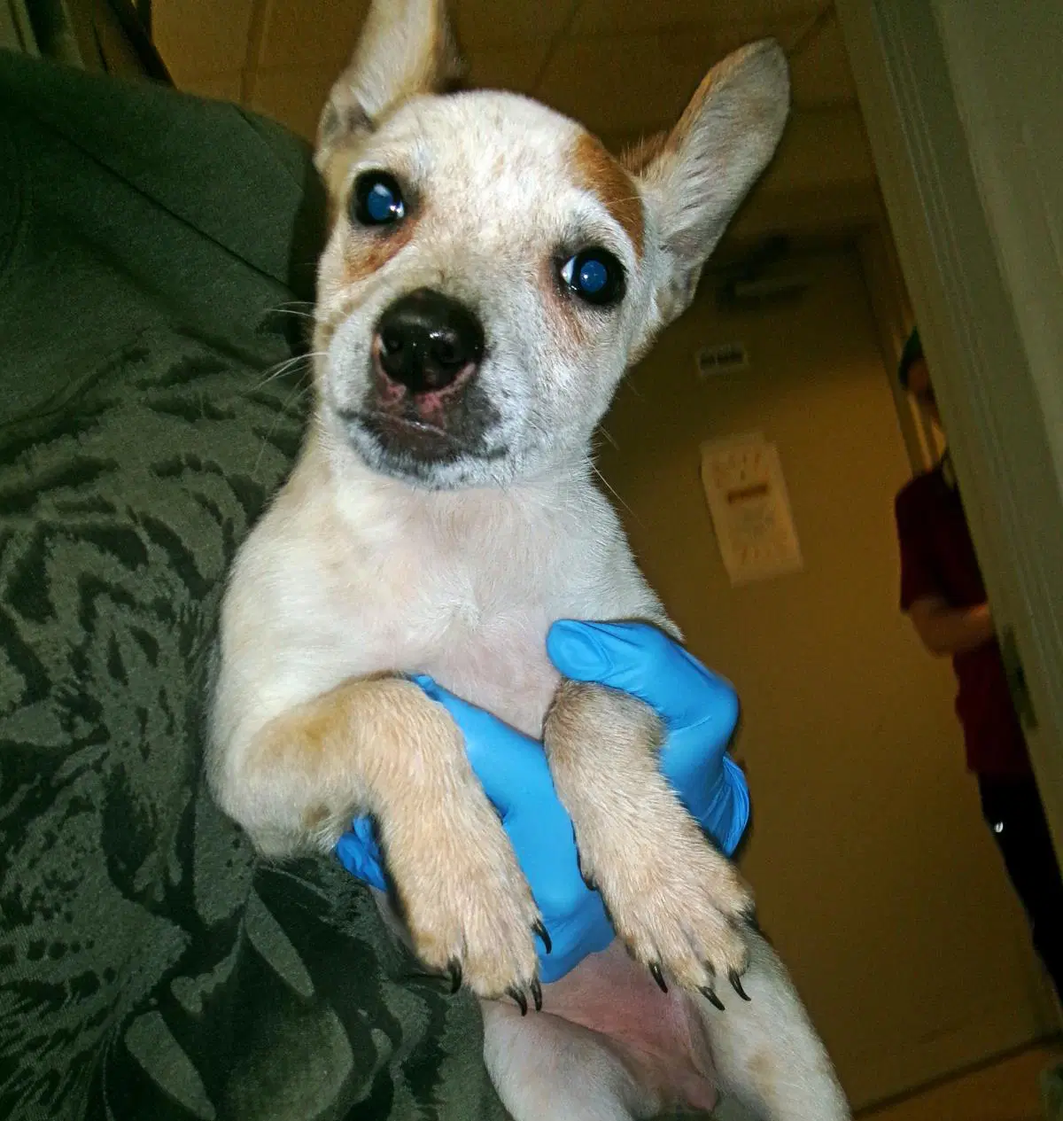 Winifred image 2