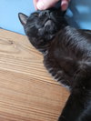 Minnie - Photo 2