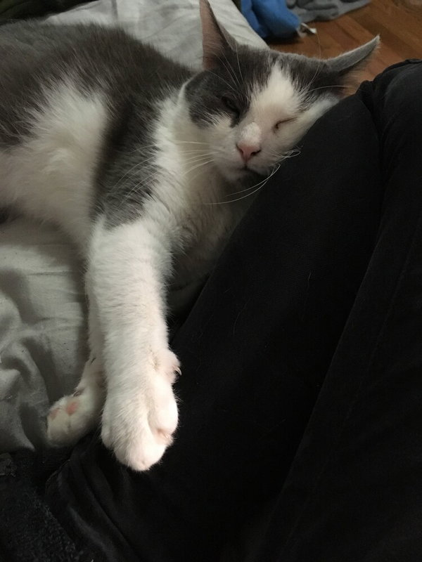 Mo