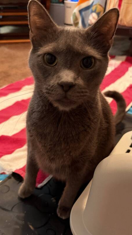 Photo 2 of Bagel