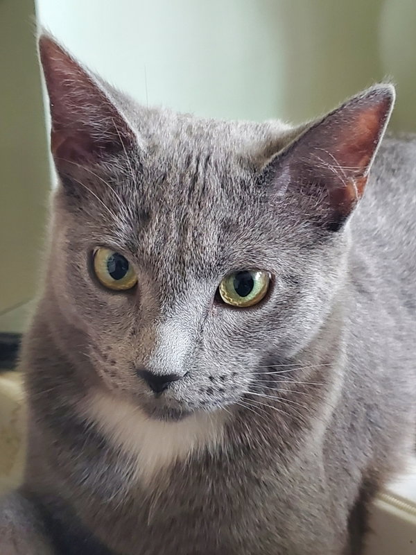 Marcia (Pepper)