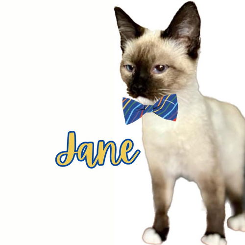 Jane