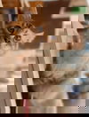 MK (Magic Kitty)