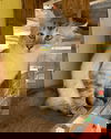 MK (Magic Kitty)