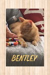 Bentley