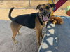 Nutmeg - Photo 11