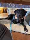 Effie - Photo 2