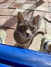 Shadow - Photo 4