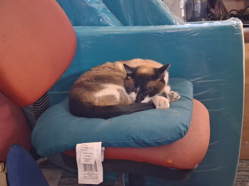 Maya photo 2
