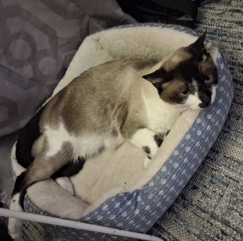 Maya photo 5