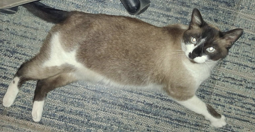Maya photo 6