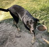 Mosely - Photo 2