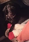 Abner