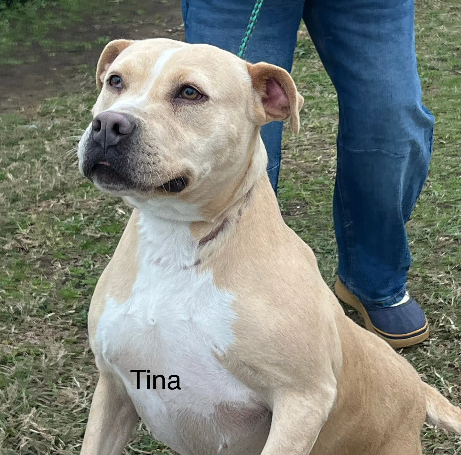 Tina image 4