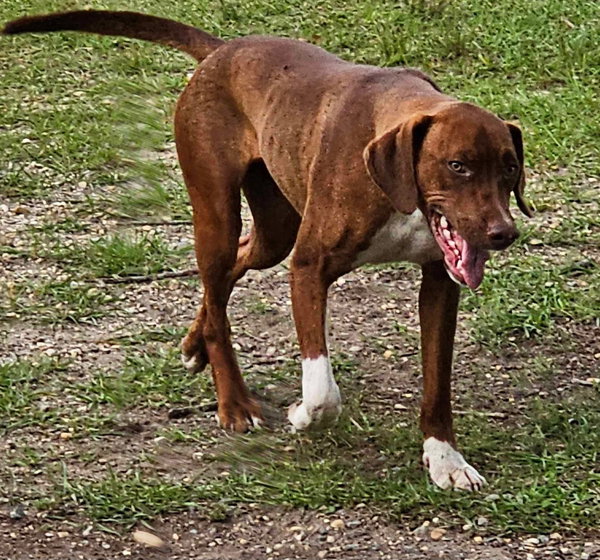 Ruby