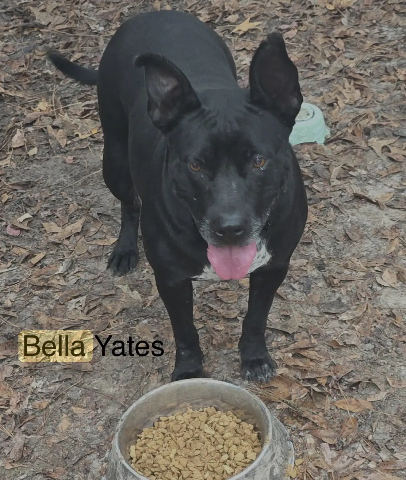 Bella Yates image 3