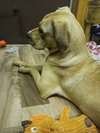 Princess - Photo 4