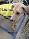 Princess - Photo 8