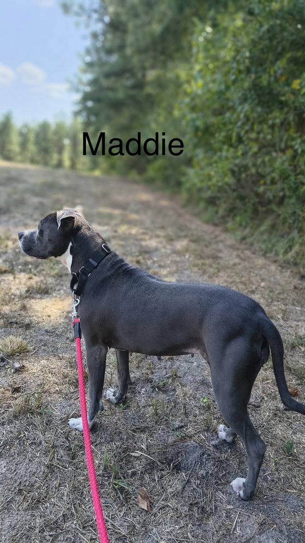 Maddie