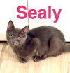 Sealy - Photo 5