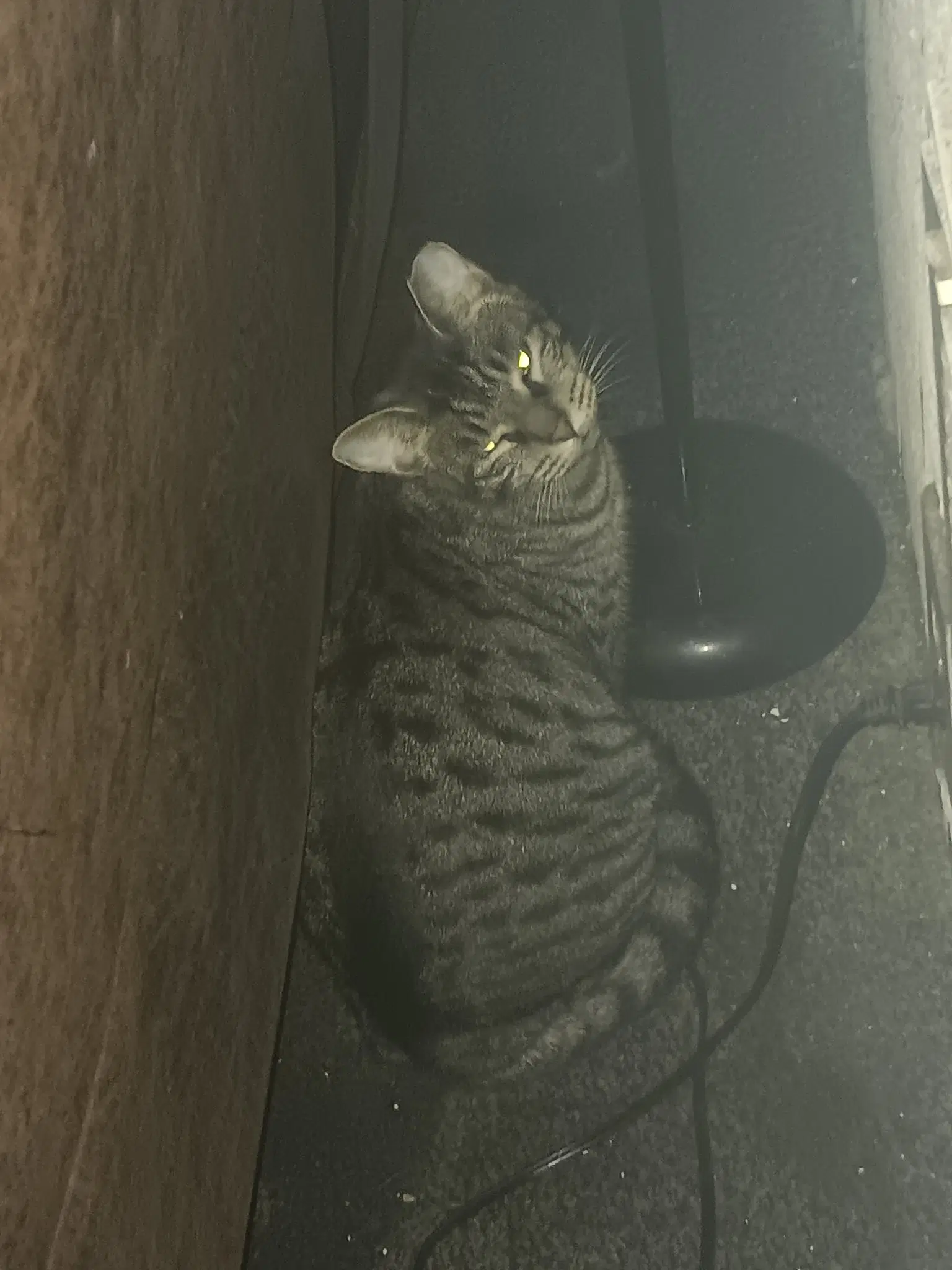 Sabrina image 2