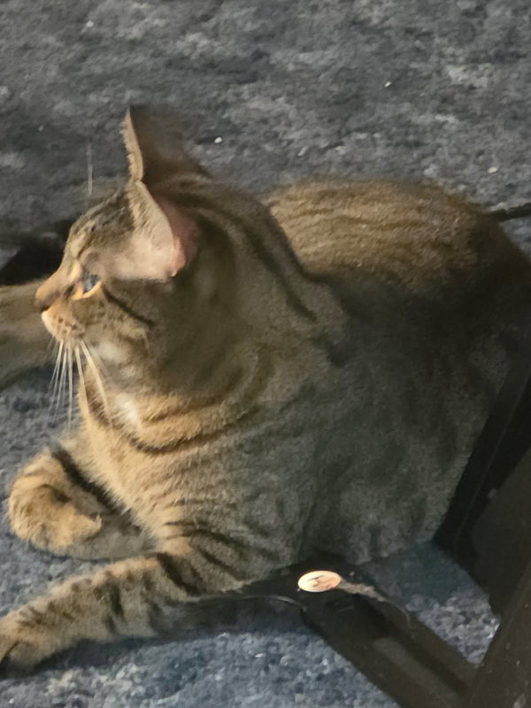 Max