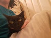 Pepper - Photo 3