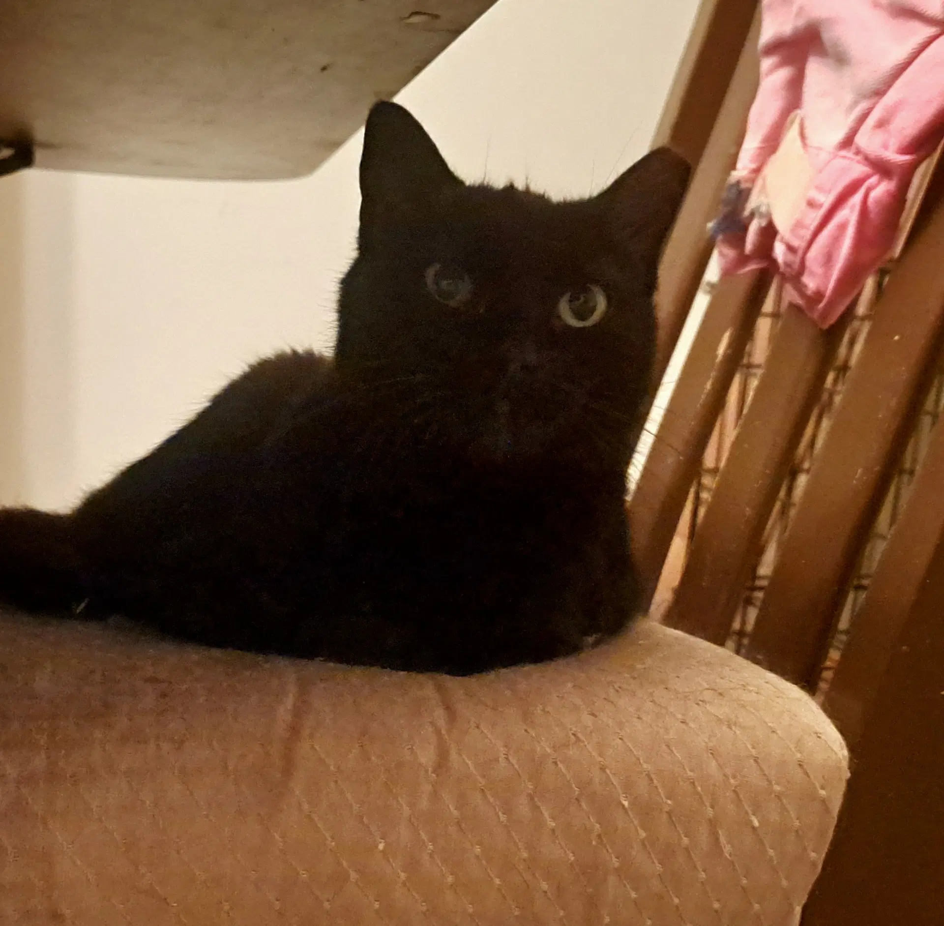 Mama image 3