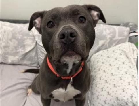 PENNY