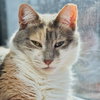 Misty - Photo 2
