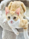 Sandy - Photo 2
