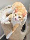 Sandy - Photo 8