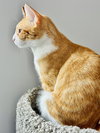 Sandy - Photo 3