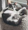 Dusty - Photo 3