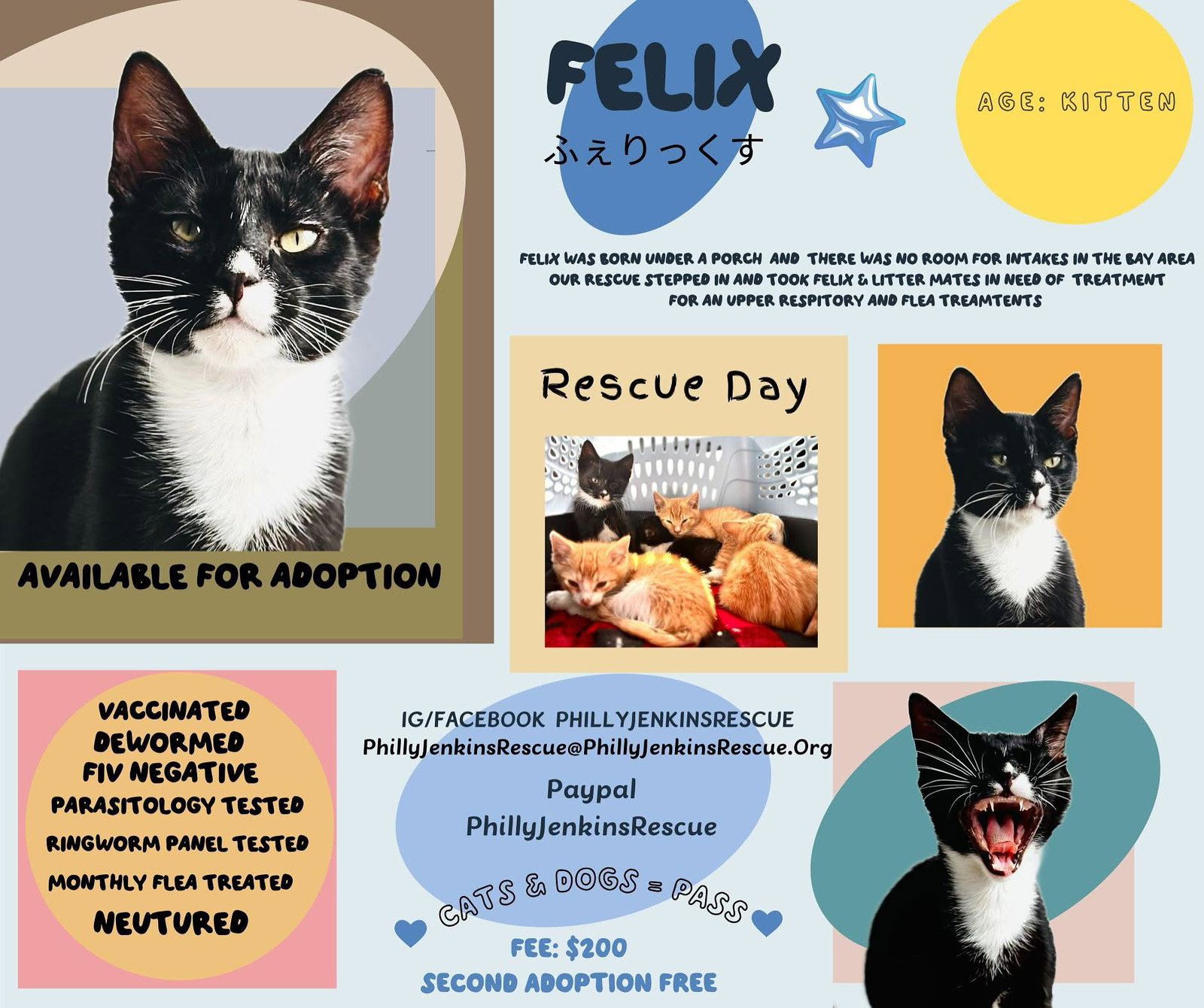 Felix